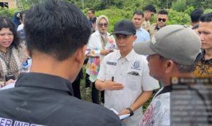 Screenshot_20250117-203538